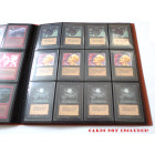 Docsmagic.de Pro-Player 12-Pocket Playset Album Copper - 480 Card Binder - MTG - PKM - YGO - Sammelalbum Kupfer