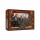 Lannister Warriors Sons: A Song of Ice and Fire Expansion - English