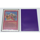 100 Docsmagic.de Premium Bi-Color Card Sleeves Mat Purple / Black Standard Size 66 x 91 Kartenhüllen Lila Schwarz