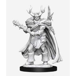 Pathfinder Battles Deep Cuts - Male Half-Orc Druid - English