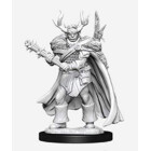 Pathfinder Battles Deep Cuts - Male Half-Orc Druid - English