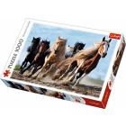 Trefl - Puzzle 1000 – Galoppierende Pferde