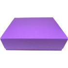 Docsmagic.de Premium 4-Row Trading Card Storage Box...