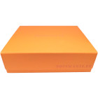 Docsmagic.de Premium 4-Row Trading Card Storage Box...
