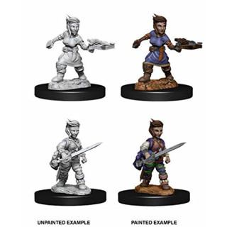 Pathfinder Battles Deep Cuts - Female Halfling Rogue