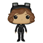 Funko Pop! TV: Gotham - Selina Kyle
