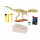 Mattel Jurassic World Ausgrabungsset